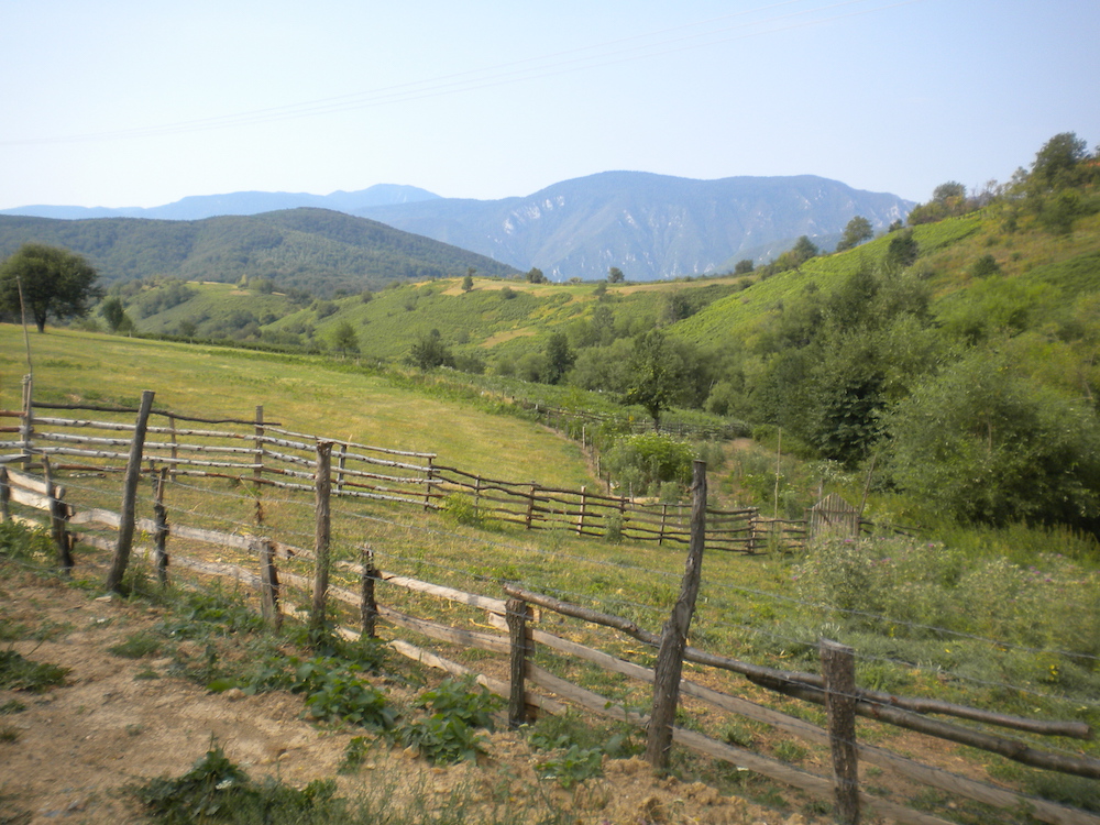 Premio di studio di 1.000,00 euro per uno stage in Bosnia Erzegovina con Agronomi e Forestali Senza Frontiere